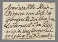 L 01627
<br/>
Label met opschrift
<br/>
<em>Escher von der Linth, Johannes Conrad (1767-1823)</em>